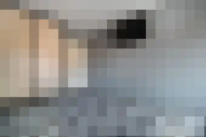 Lindenlaan 12 Staphorst thumbnail 16
