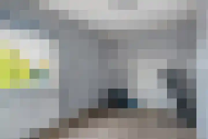 Lindenlaan 12 Staphorst thumbnail 19
