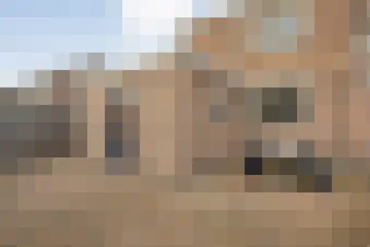 Lindenlaan 12 Staphorst thumbnail 23
