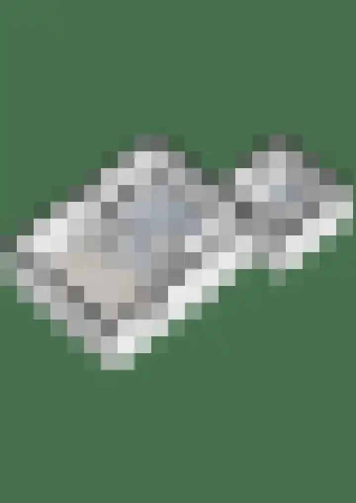 Lindenlaan 12 Staphorst thumbnail 29