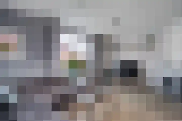 Lindenlaan 12 Staphorst thumbnail 6