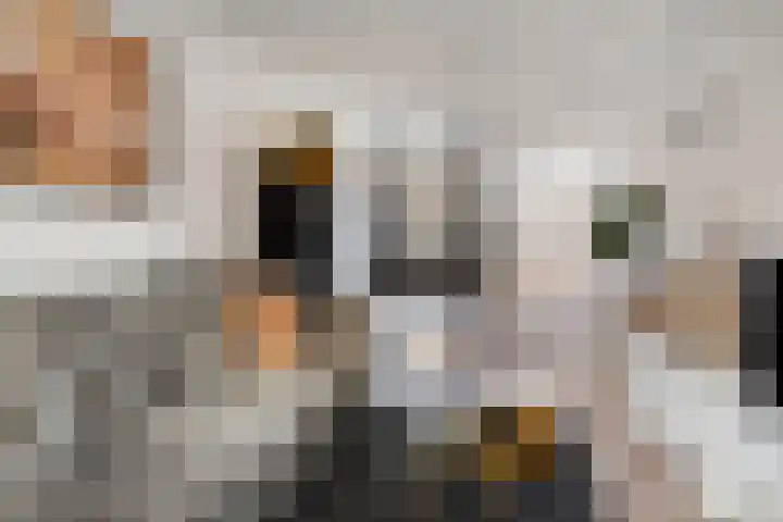 Lindenlaan 12 Staphorst thumbnail 7