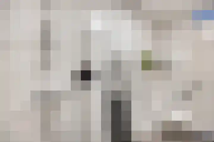 Lindenlaan 12 Staphorst thumbnail 8