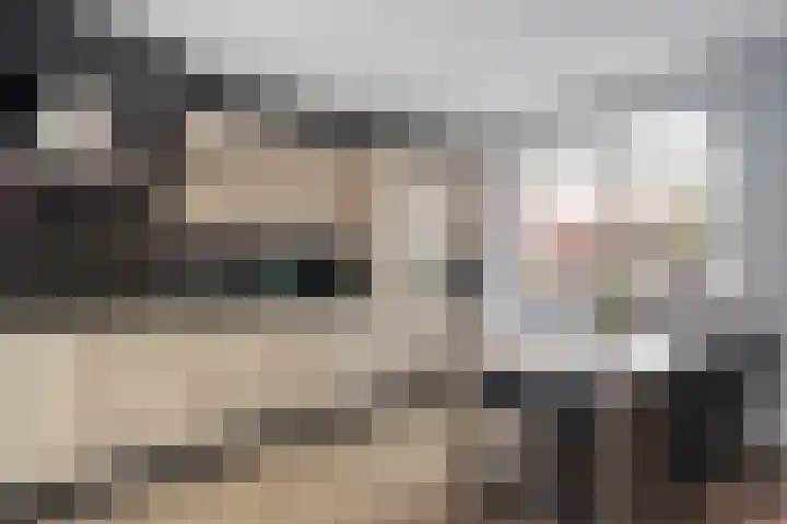 Lindenlaan 12 Staphorst thumbnail 8