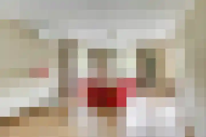 Lindenlaan 14 Dronten thumbnail 17