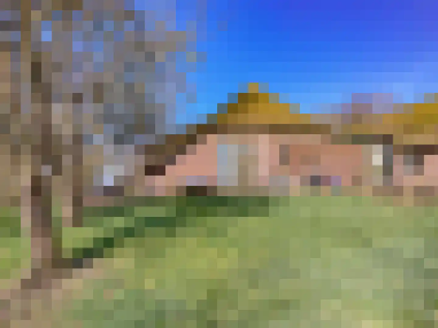 Lindenlaan 14 Dronten thumbnail 34