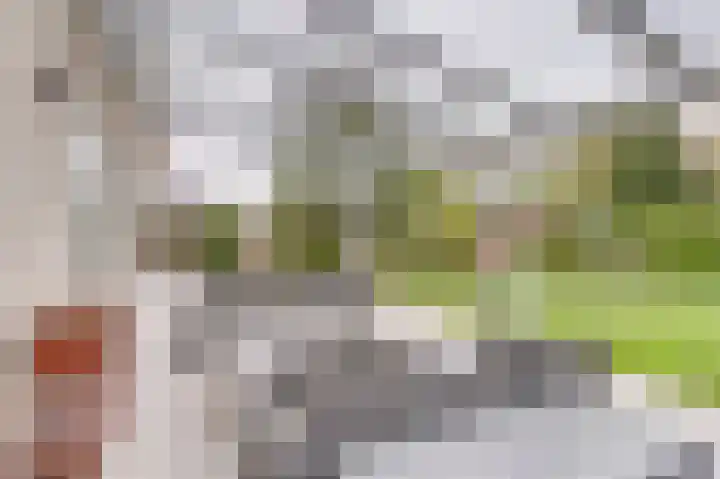 Lindenlaan 14 Dronten thumbnail 37