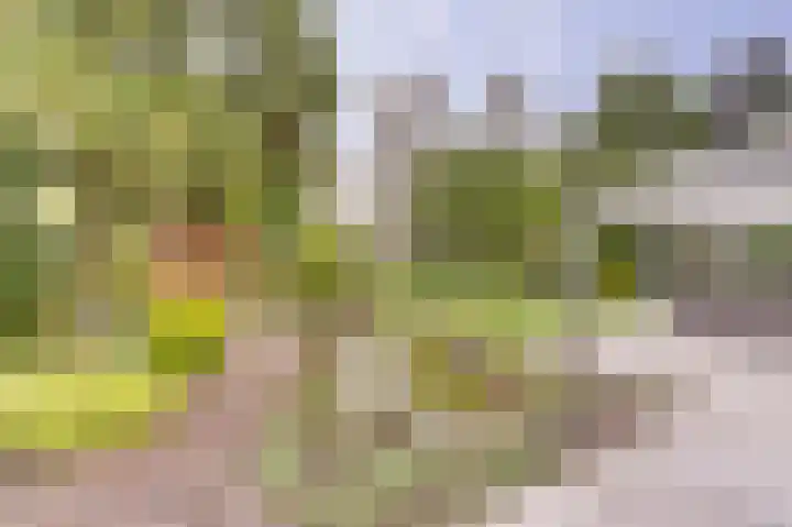 Lindenlaan 14 Dronten thumbnail 39