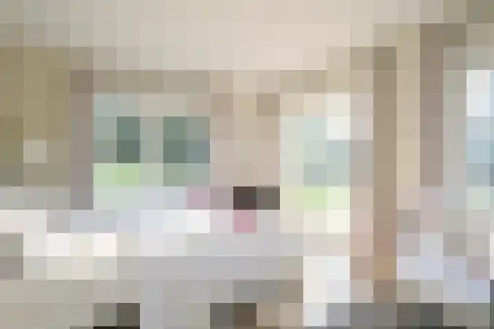 Lindenlaan 14 Dronten thumbnail 4