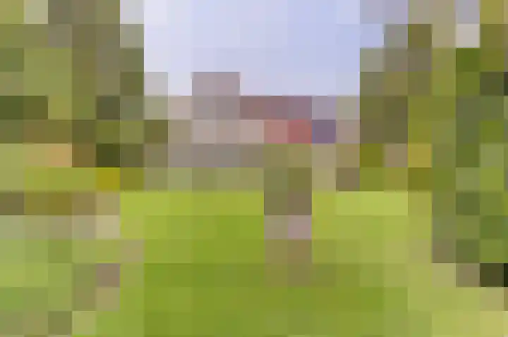Lindenlaan 14 Dronten thumbnail 4
