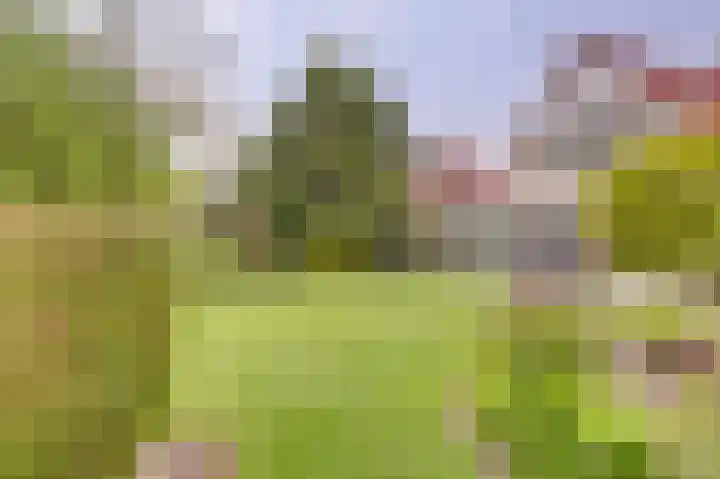 Lindenlaan 14 Dronten thumbnail 41