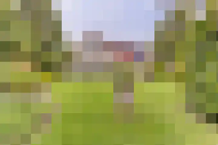 Lindenlaan 14 Dronten thumbnail 42