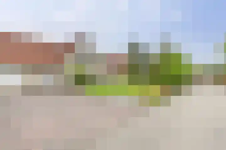 Lindenlaan 14 Dronten thumbnail 46