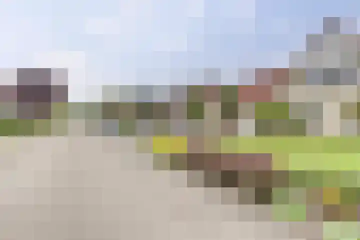 Lindenlaan 14 Dronten thumbnail 47