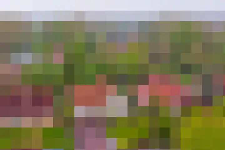 Lindenlaan 14 Dronten thumbnail 49