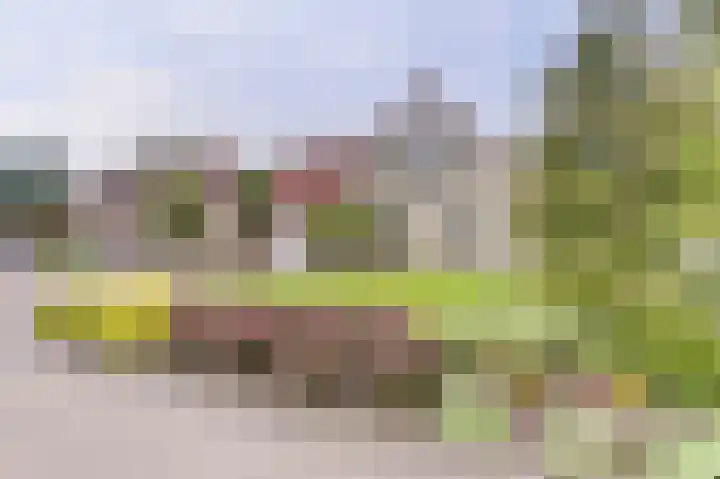 Lindenlaan 14 Dronten thumbnail 5