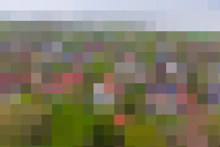 Lindenlaan 14 Dronten thumbnail 50