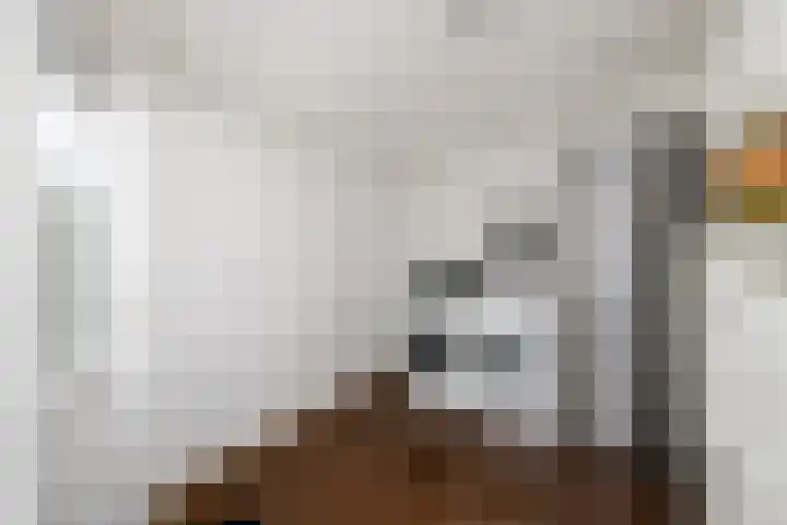 Lindenlaan 15 Wolvega thumbnail 13