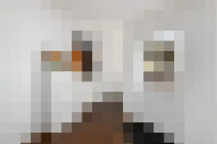 Lindenlaan 15 Wolvega thumbnail 14