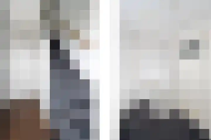 Lindenlaan 15 Wolvega thumbnail 16