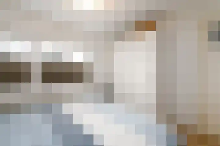 Lindenlaan 15 Wolvega thumbnail 18