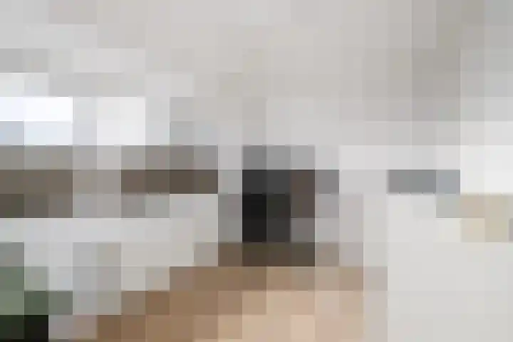 Lindenlaan 15 Wolvega thumbnail 22
