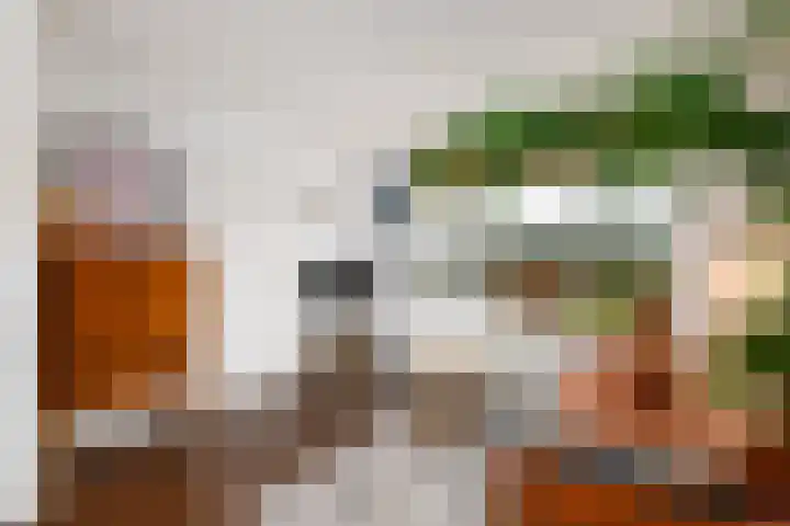 Lindenlaan 15 Wolvega thumbnail 4