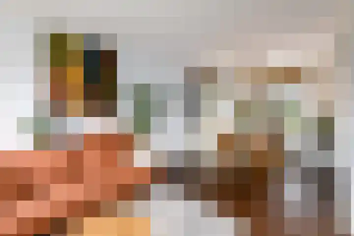 Lindenlaan 15 Wolvega thumbnail 5