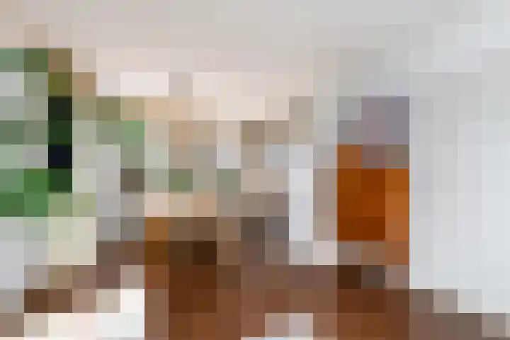 Lindenlaan 15 Wolvega thumbnail 6