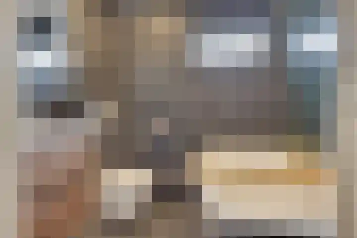 Lindenlaan 20 Leusden thumbnail 14