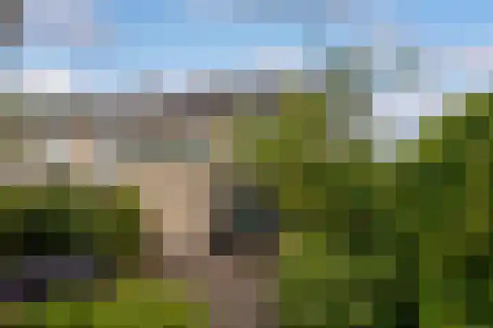 Lindenlaan 20 Leusden thumbnail 20
