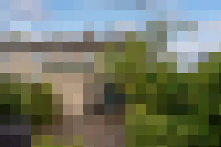 Lindenlaan 20 Leusden thumbnail 24
