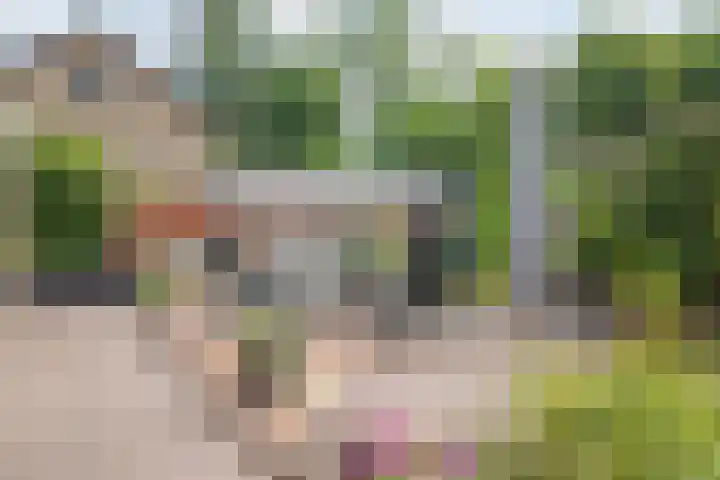 Lindenlaan 28 Maarn thumbnail 29
