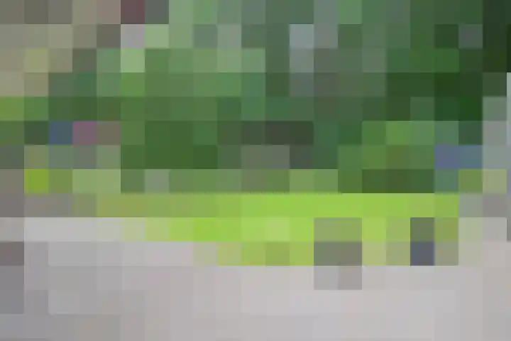 Lindenlaan 28 Maarn thumbnail 34
