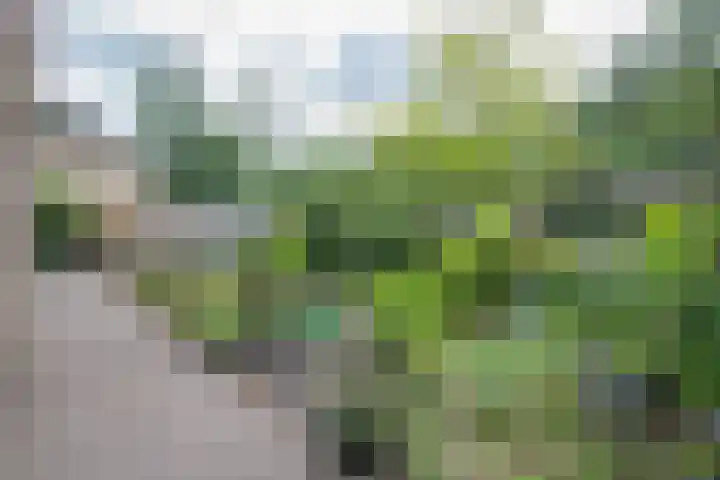 Lindenlaan 28 Maarn thumbnail 36