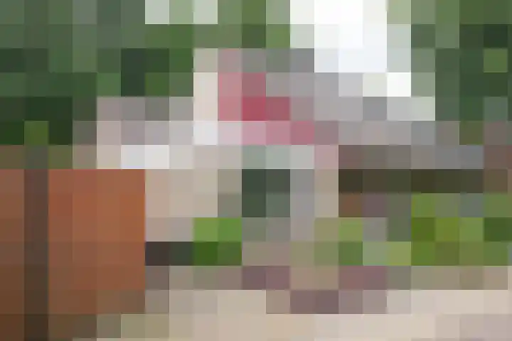 Lindenlaan 28 Maarn thumbnail 45