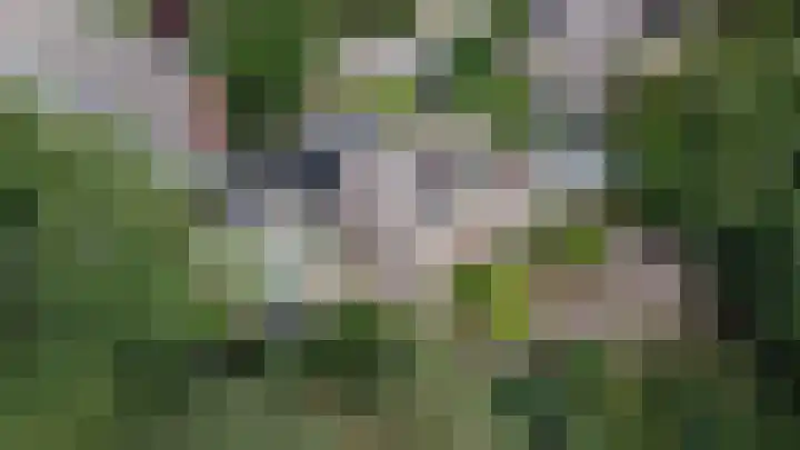 Lindenlaan 28 Maarn thumbnail 46