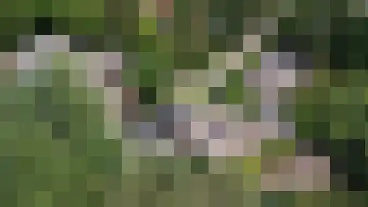Lindenlaan 28 Maarn thumbnail 47