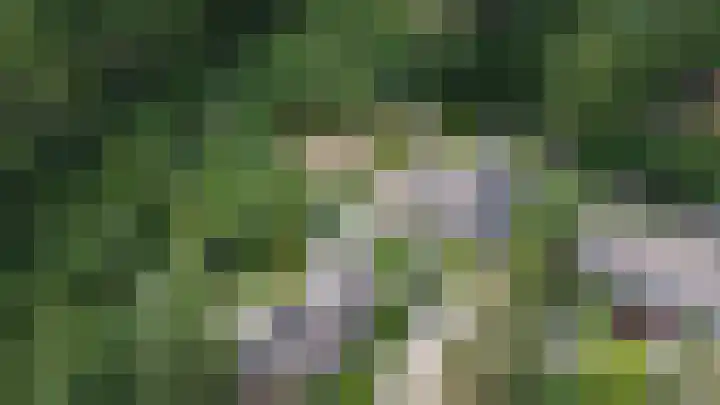 Lindenlaan 28 Maarn thumbnail 50