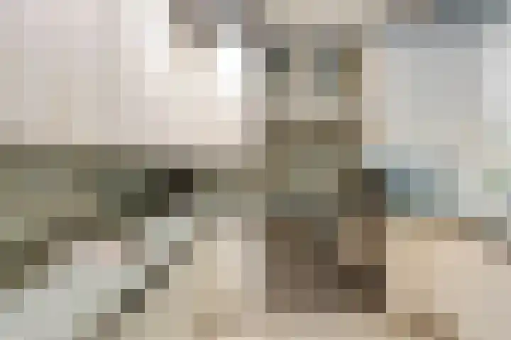 Lindenlaan 66 Bunde thumbnail 13
