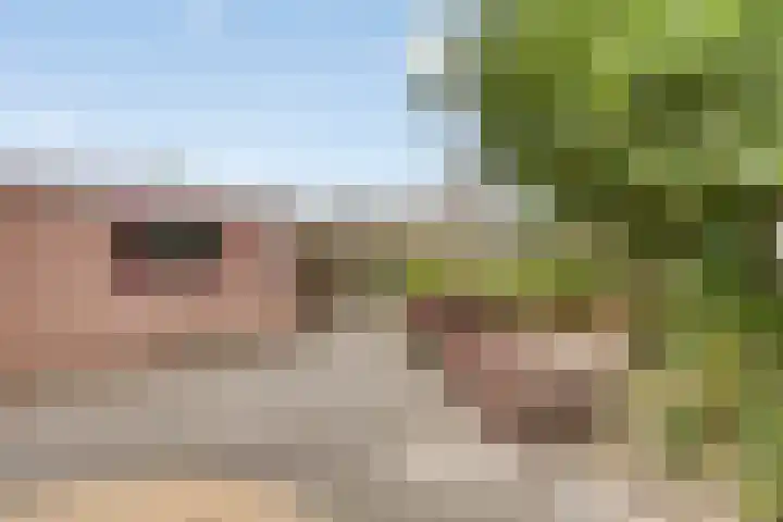 Lindenlaan 66 Bunde thumbnail 26