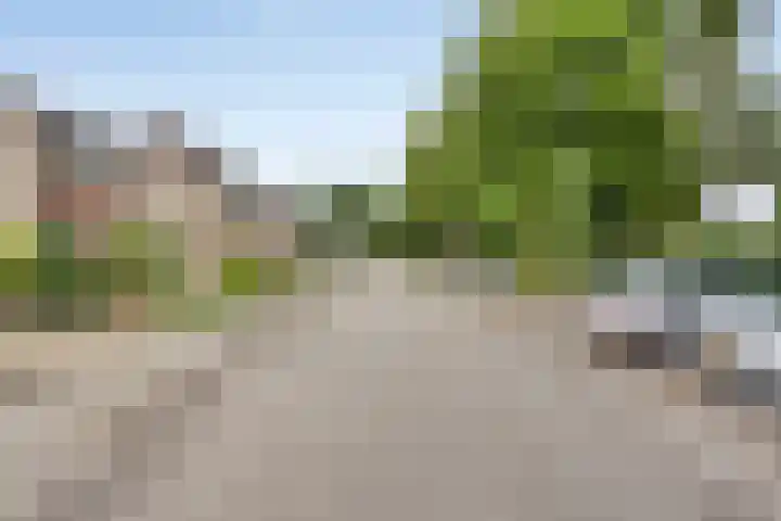 Lindenlaan 66 Bunde thumbnail 29