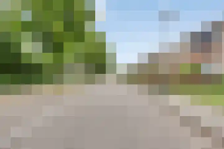 Lindenlaan 66 Bunde thumbnail 30