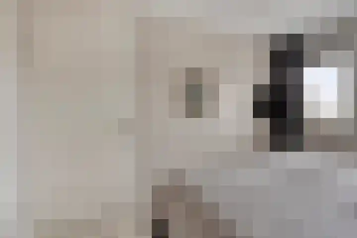 Lindenoord 2 Wolvega thumbnail 12
