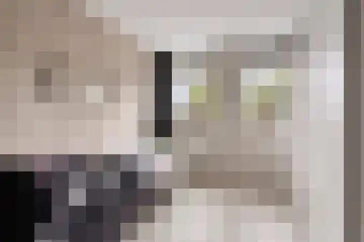Lindenoord 2 Wolvega thumbnail 13