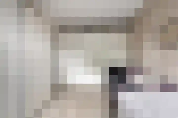 Lindenoord 2 Wolvega thumbnail 14