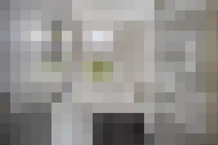Lindenoord 2 Wolvega thumbnail 17