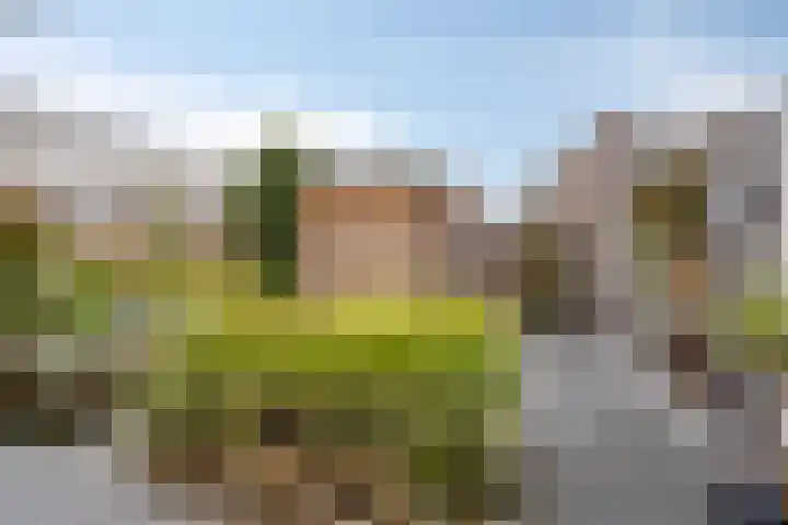 Lindenoord 2 Wolvega thumbnail 23