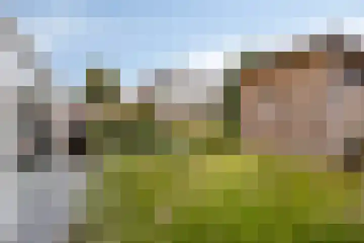 Lindenoord 2 Wolvega thumbnail 24
