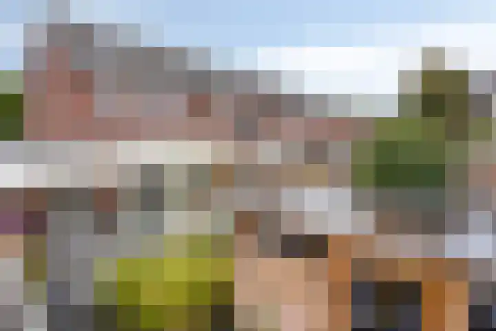 Lindenoord 2 Wolvega thumbnail 25